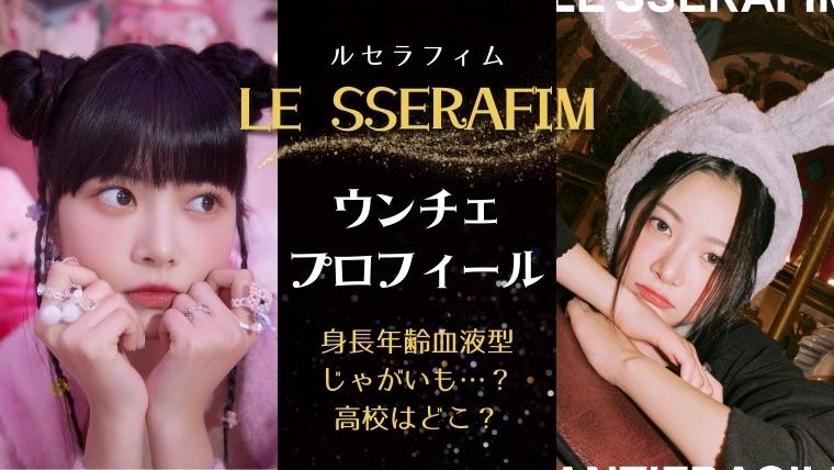 ファッションデザイナー LE SSERAFIM ルセラフィム ウンチェ ポスター